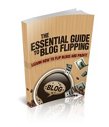 Essential Guide To Blog Flipping